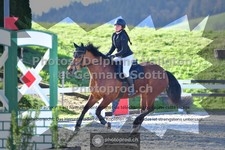 ref. photo 3561548