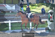 ref. photo 3561549