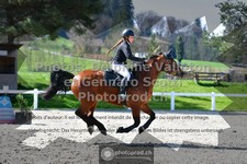 ref. photo 3561550