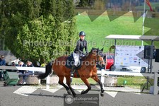 ref. photo 3561555