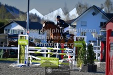 ref. photo 3561594