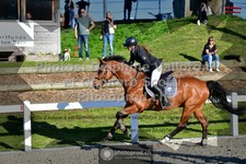 ref. photo 3561595