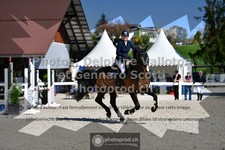 ref. photo 3561610