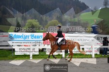 ref. photo 3561613