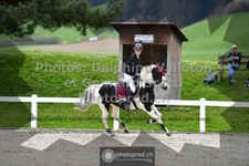 ref. photo 3561640