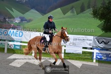 ref. photo 3561664