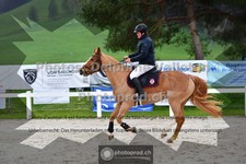 ref. photo 3561667