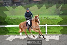 ref. photo 3561672
