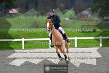 ref. photo 3561673