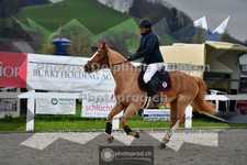 ref. photo 3561674