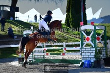 ref. photo 3561683