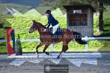 ref. photo 3561685