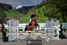 ref. photo 3561689