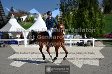 ref. photo 3561691
