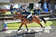ref. photo 3561693