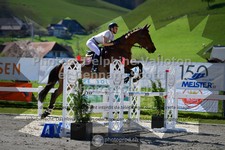 ref. photo 3561695