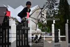 ref. photo 3561709