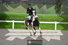 ref. photo 3561719