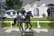 ref. photo 3561727