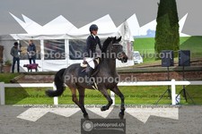 ref. photo 3561728