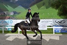 ref. photo 3561735