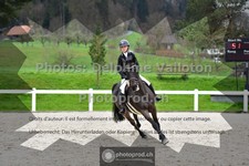 ref. photo 3561743