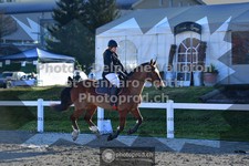 ref. photo 3561750