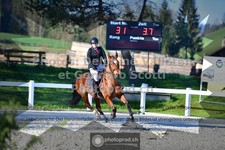 ref. photo 3561751