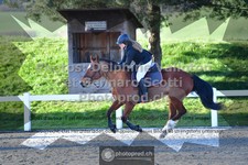 ref. photo 3561759