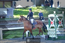 ref. photo 3561760