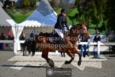 ref. photo 3561763