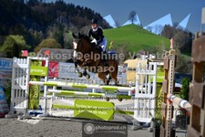ref. photo 3561789