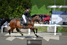 ref. photo 3561794