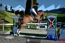 ref. photo 3561797