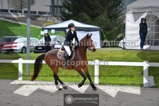 ref. photo 3561821