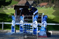 ref. photo 3561838