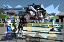 ref. photo 3561845