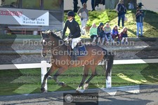 ref. photo 3561856