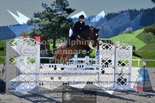 ref. photo 3561859