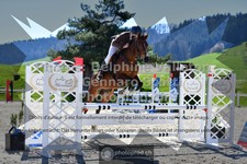 ref. photo 3561869