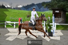 ref. photo 3562012