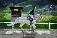 ref. photo 3562037
