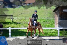 ref. photo 3562038