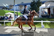 ref. photo 3562040