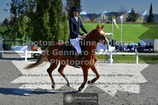 ref. photo 3562043