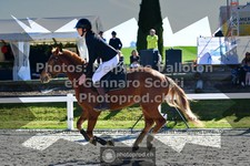 ref. photo 3562045