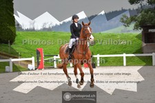 ref. photo 3562047