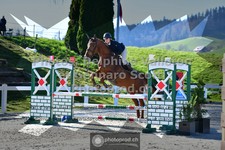 ref. photo 3562071