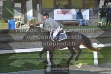 ref. photo 3562086