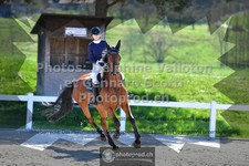 ref. photo 3562096